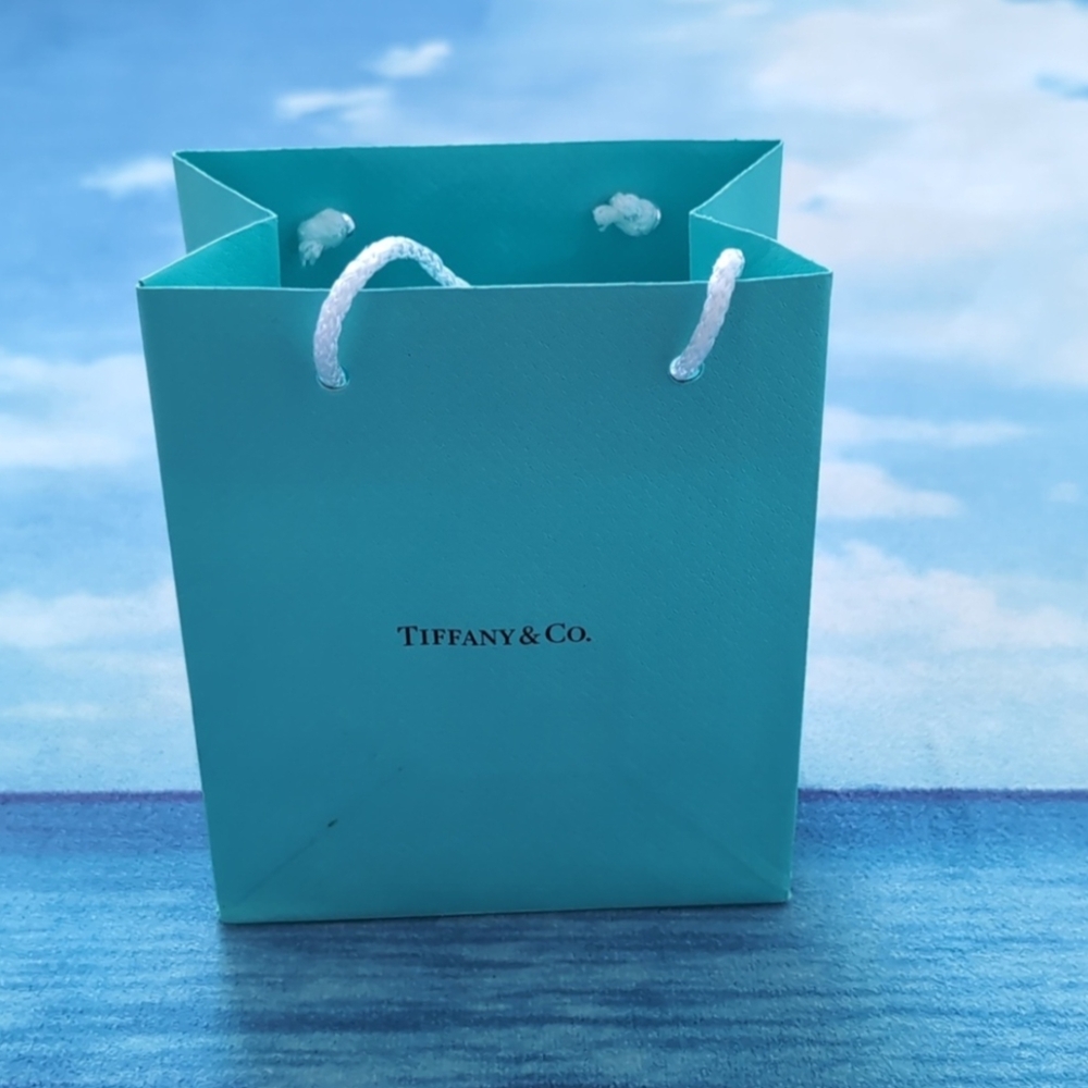 Single Item - Like New Tiffany Gift Bag Small